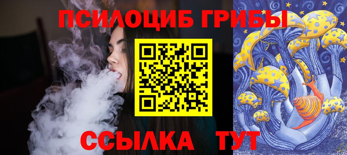 Галлюциногенные грибы Psilocybe  Псилоцибиновые грибы прущие грибы  Вход с VPN  Нижний Тагил 