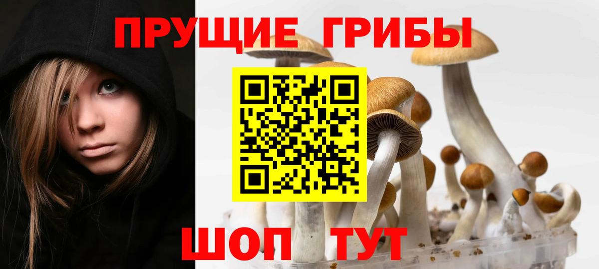 Галлюциногенные грибы мухоморы Нижний Тагил